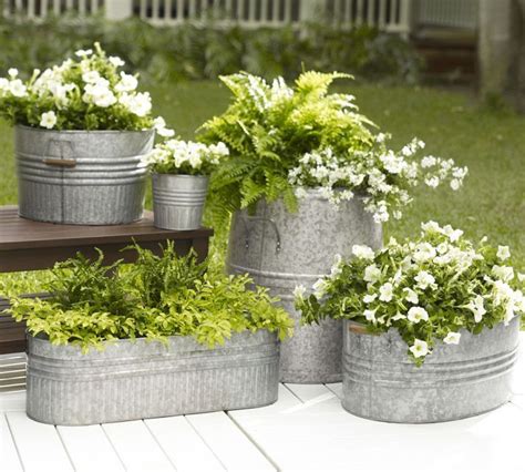 house plants in a metal bucket|growing plants in metal containers.